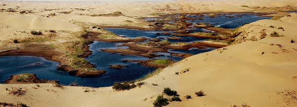 沙漠湿地